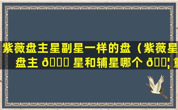 紫薇盘主星副星一样的盘（紫薇星盘主 🐒 星和辅星哪个 🐦 重要）